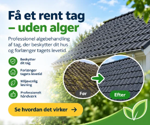 Algebehandling på tag
