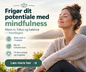 Mindfulness Kursus